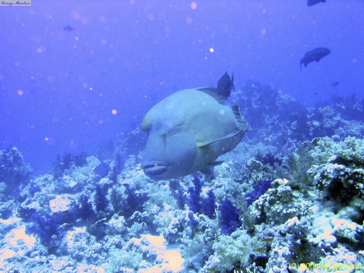 IMG_6530.JPG