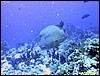 IMG_6530.JPG