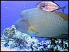 IMG_6531.JPG