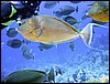 IMG_6533.JPG