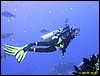 IMG_6534.JPG
