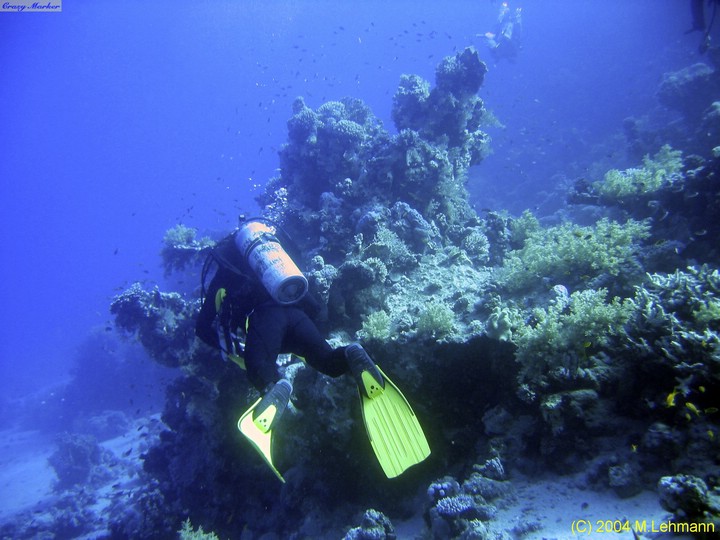 IMG_6566.JPG