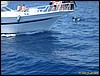 IMG_6537.JPG