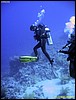 IMG_6539.JPG