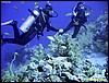 IMG_6541.JPG