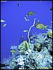 IMG_6542.JPG