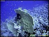 IMG_6543.JPG