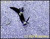 IMG_6552.JPG