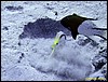 IMG_6555.JPG