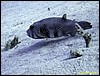 IMG_6560.JPG