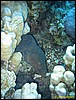 IMG_6571.JPG