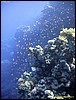 IMG_6572.JPG