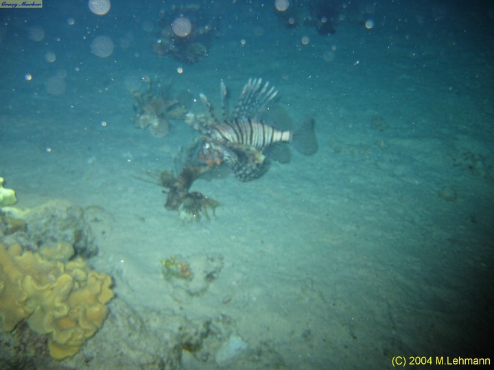 IMG_6615.JPG