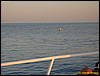 IMG_6581.JPG