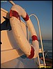 IMG_6582.JPG