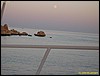 IMG_6585.JPG
