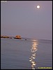 IMG_6593.JPG