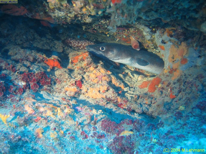 IMG_6745.JPG