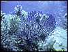 IMG_6737.JPG