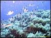 IMG_6778.JPG