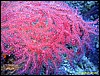 IMG_6785.JPG