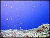 IMG_6848.JPG