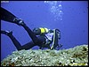 IMG_6849.JPG