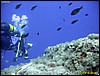 IMG_6850.JPG