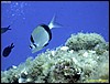 IMG_6852.JPG