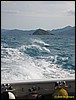 IMG_6865.JPG