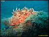 IMG_7184.JPG