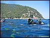 IMG_7294.JPG