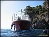 IMG_7295.JPG