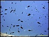 IMG_7336.JPG