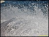 IMG_7338.JPG