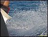 IMG_7339.JPG