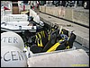 IMG_7342.JPG