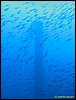 IMG_7351.JPG