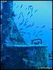 IMG_7479.JPG