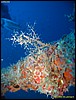 IMG_7490.JPG