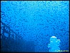 IMG_7495.JPG