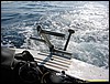 IMG_7499.JPG