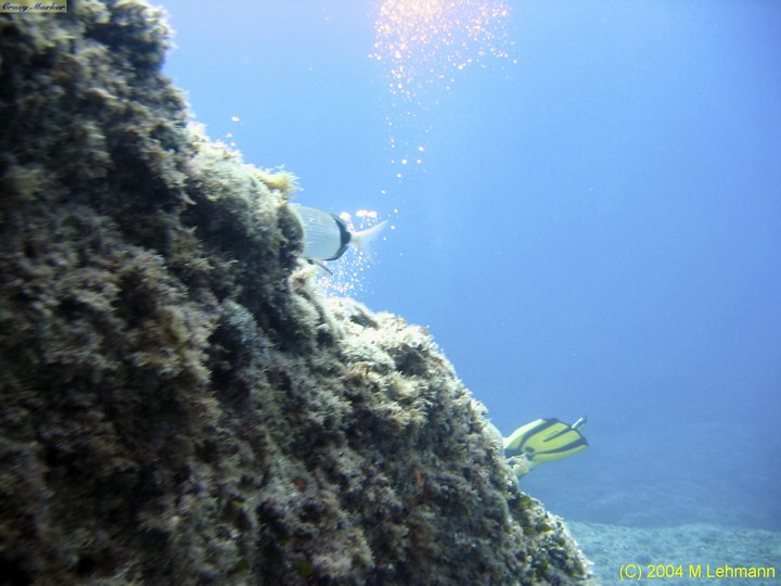 IMG_7543.JPG