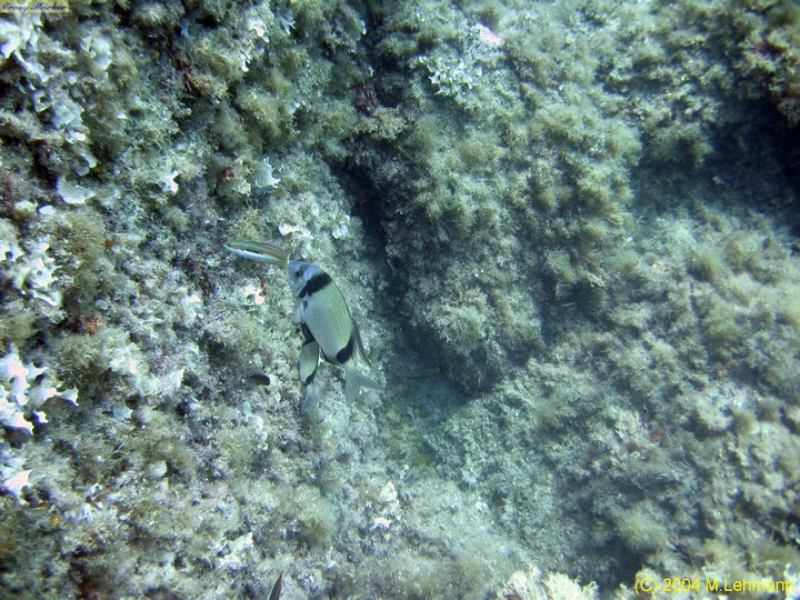 IMG_7545.JPG