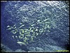 IMG_7536.JPG