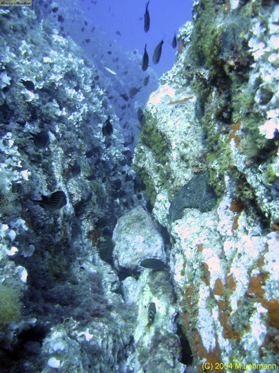 IMG_7656.JPG