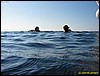 IMG_7606.JPG
