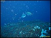 IMG_7614.JPG