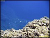 IMG_7635.JPG