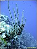 IMG_7649.JPG